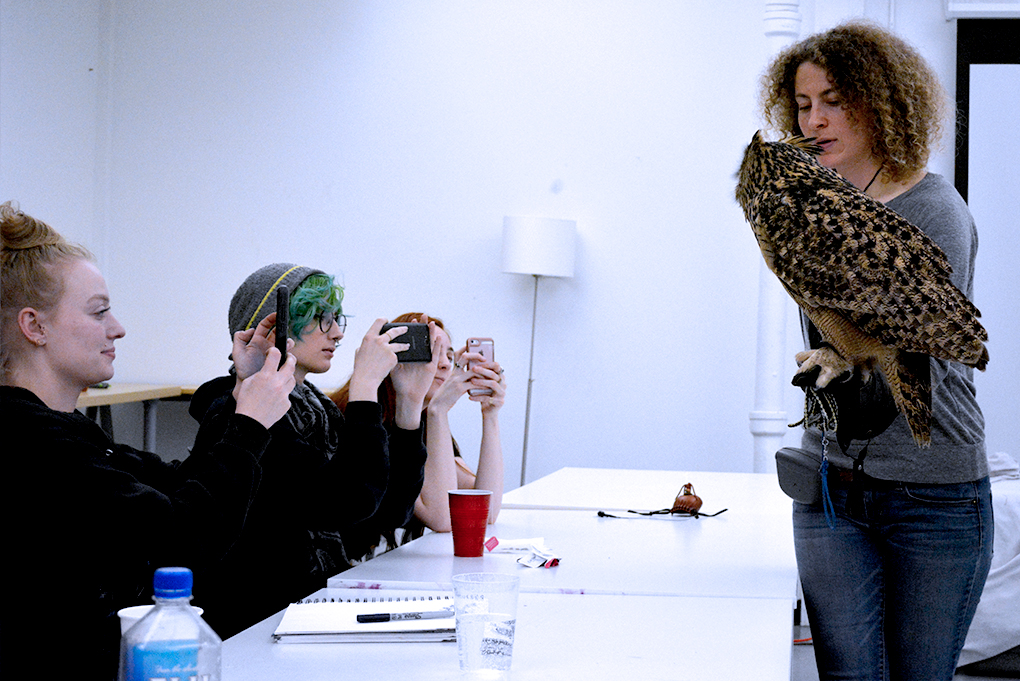 Bird expert holding an owl while students take photos