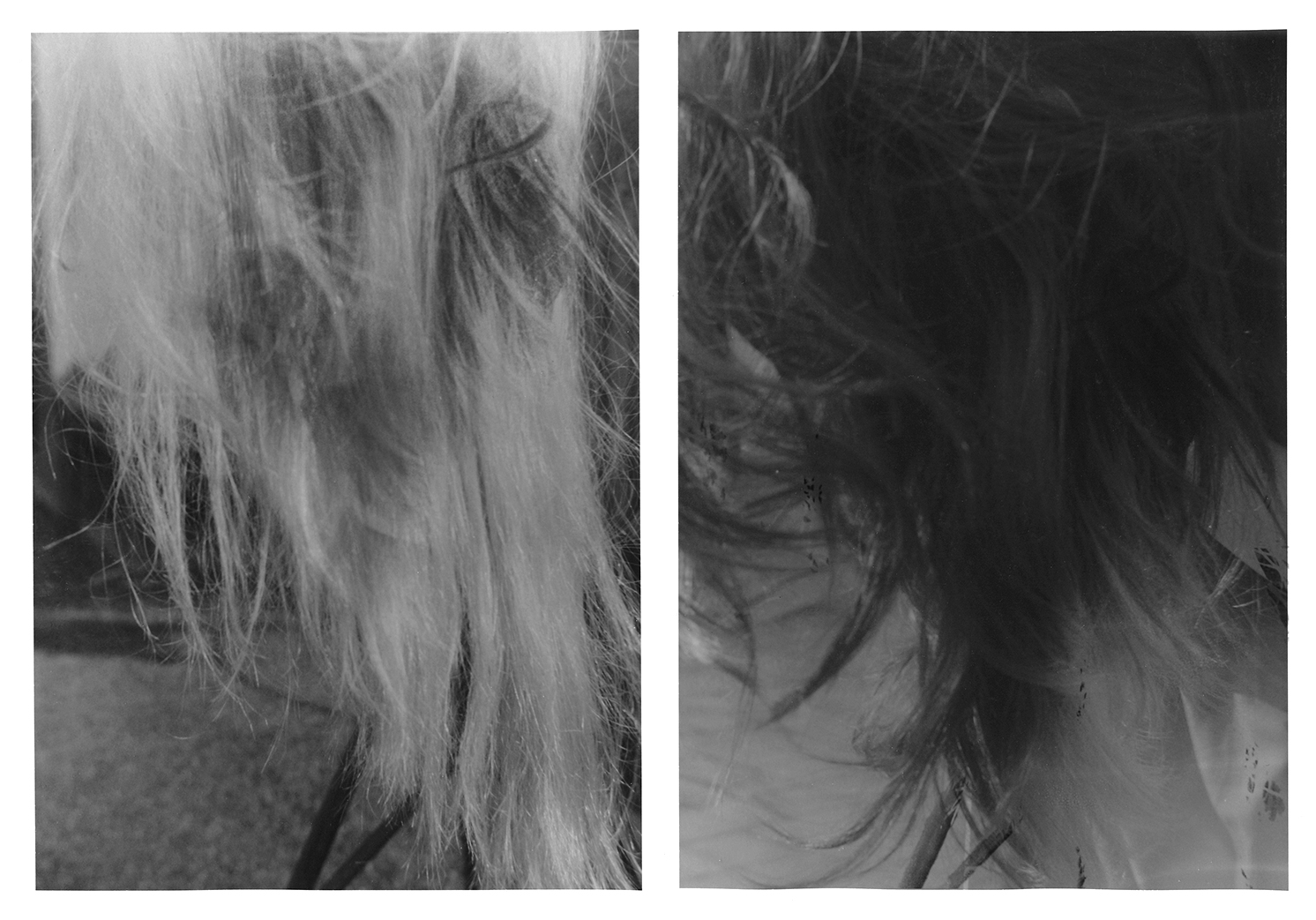 Two images of hair.