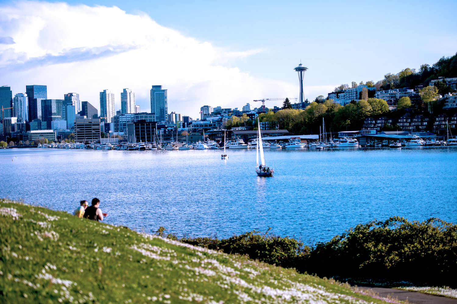 Seattle Skyline from Gasworks Park