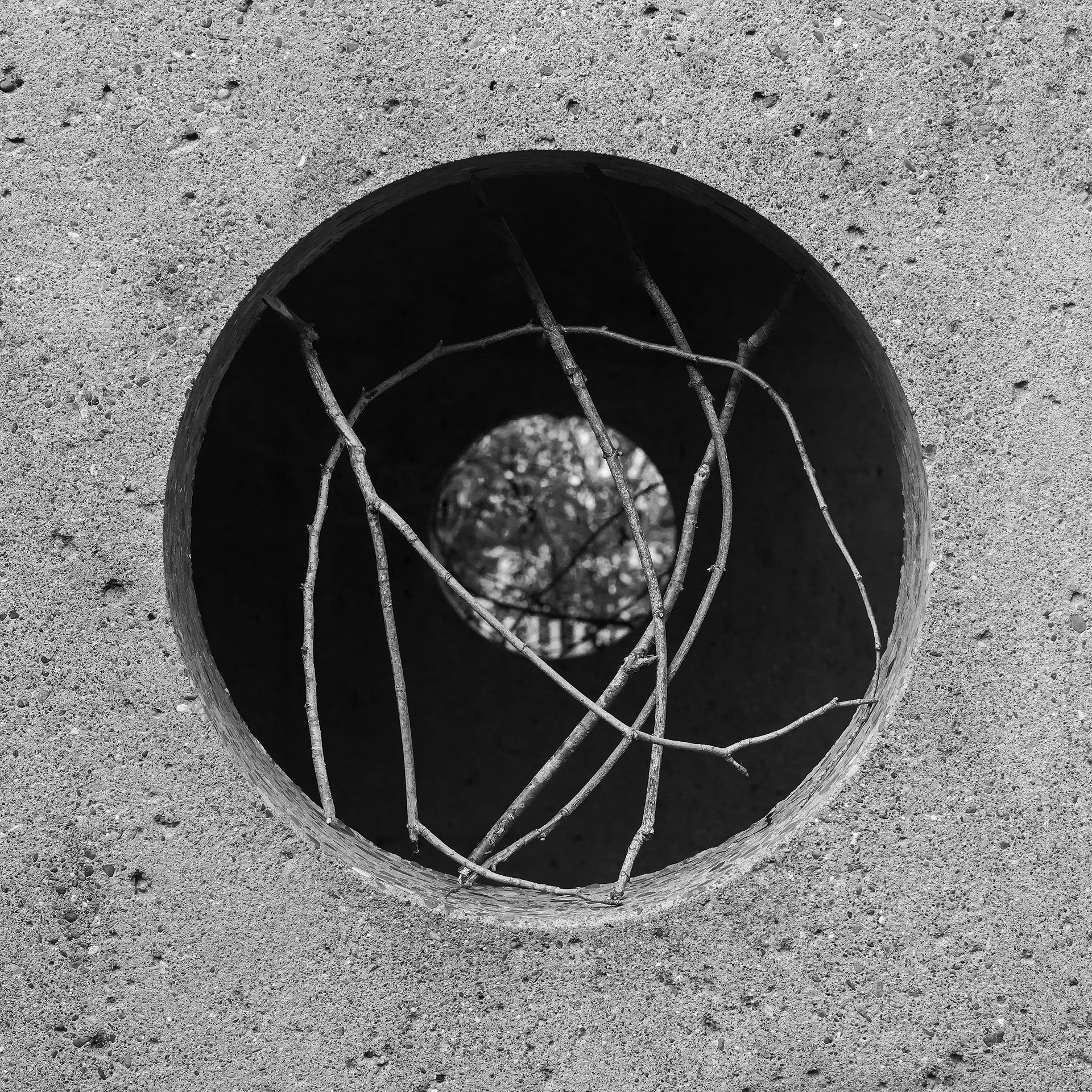 Black and white photo looking into a cement drainage pipe with a few sticks blocking the entrance.