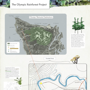 The Olympic Rainforest Project by Carmen Woodson Mather